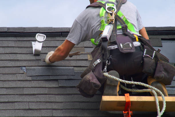 Best Roof Gutter Cleaning  in Steele, AL