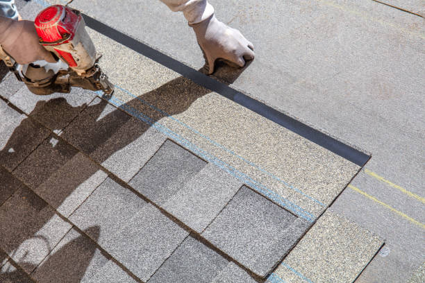 Best Metal Roofing Contractor  in Steele, AL
